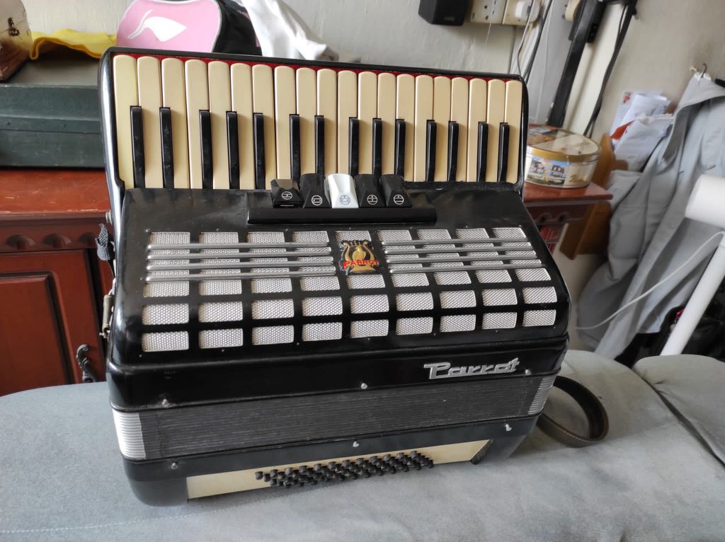 Parrot musical, Hobbies & Toys, Music & Media, Musical Instruments on ...