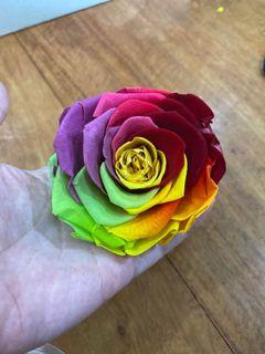 Preserved Rose / Flowers Rainbow