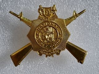 Badges & Medals  Collection item 1