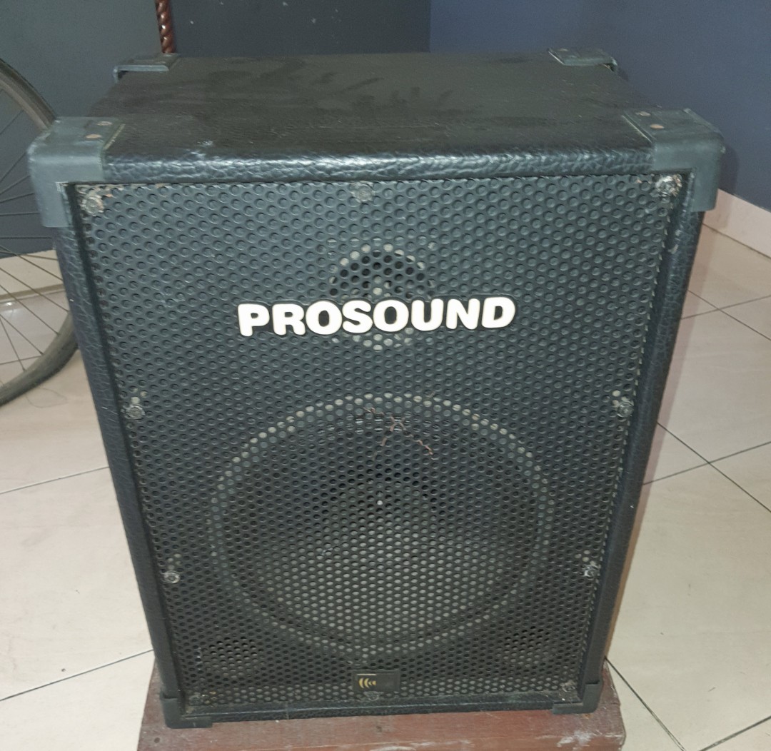 Pro sound 15 inch speaker sale