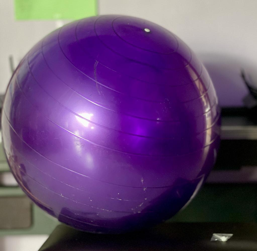 Yoga Gym Exercise Ball