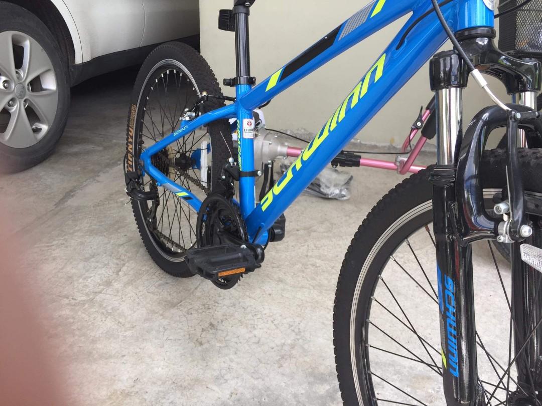 Schwinn signature thrasher 24 sales