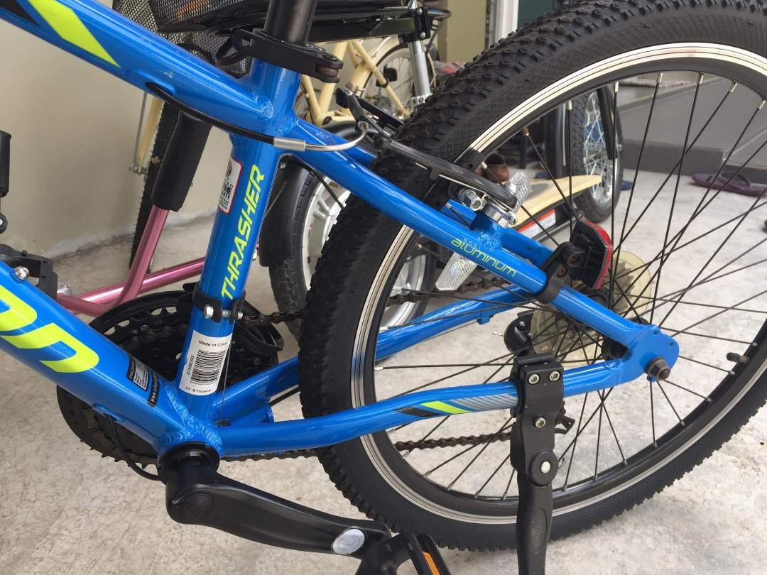 Schwinn signature thrasher 24 2025