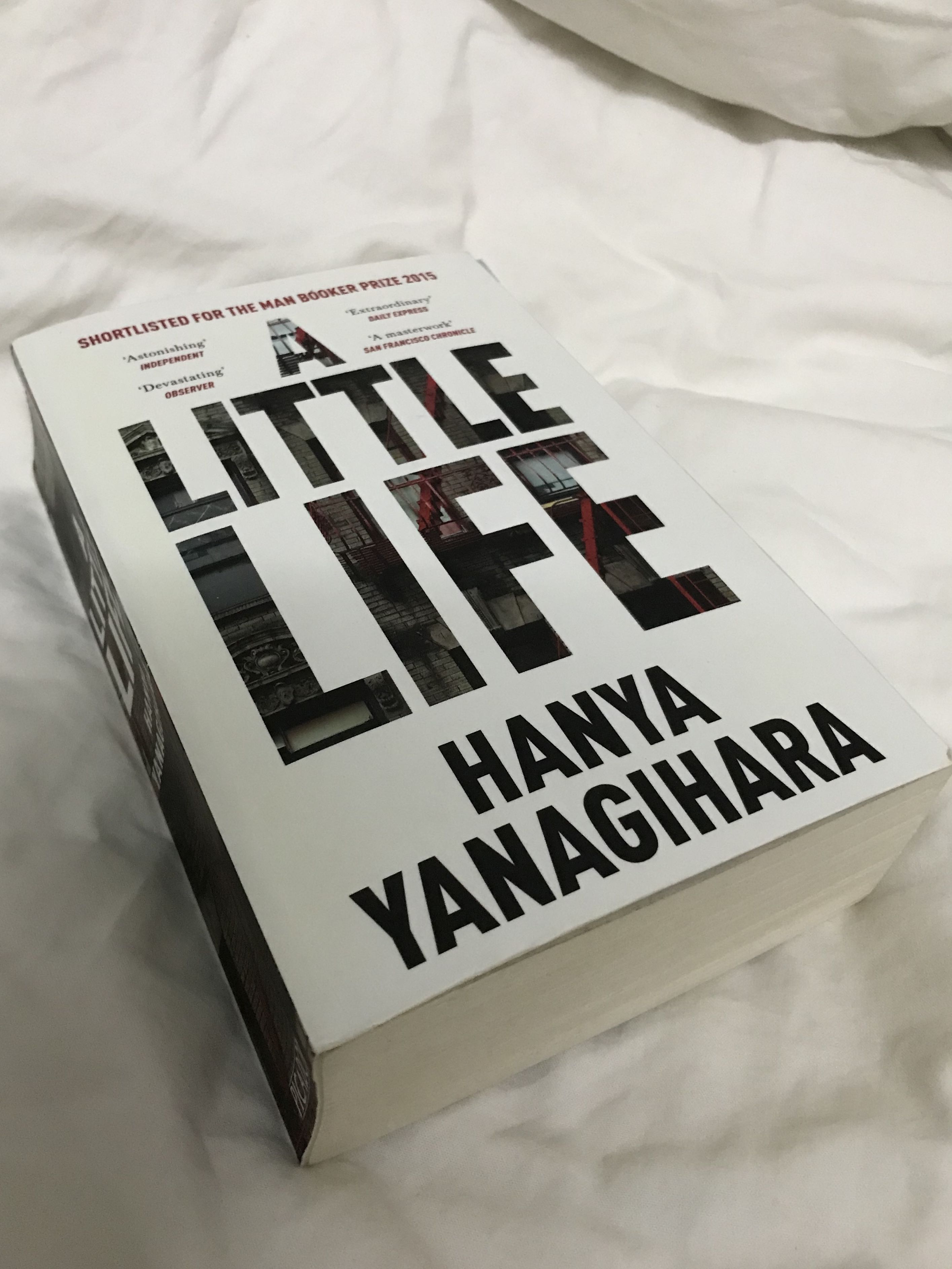 A Little Life Hanya Yanagihara (Picador Collection), Hobbies & Toys, Books  & Magazines, Children's Books on Carousell