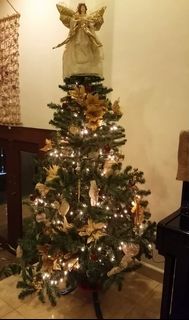 (Category: ) located in . Submitted by haley9 (Listing ID 1124489533, Image 1). Description: .