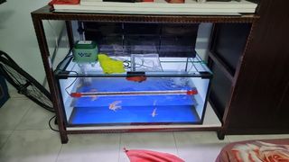 (Category: ) located in . Submitted by Mdxsif (Listing ID 1124387911, Image 1). Description: .