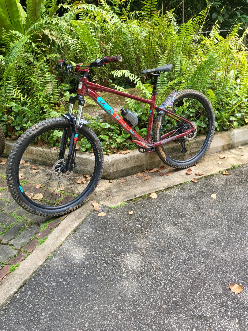 Marin bobcat trail outlet 4 2021
