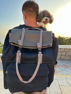 （分類：）位於 。 由 cc_pet 提交（商品編號 1124412550，圖片 1）。簡介： 。