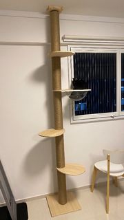 (Category: ) located in . Submitted by forcen (Listing ID 1124342821, Image 1). Description: .