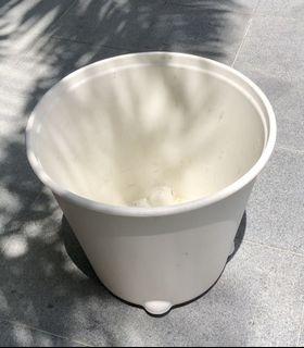 White wheeled planters