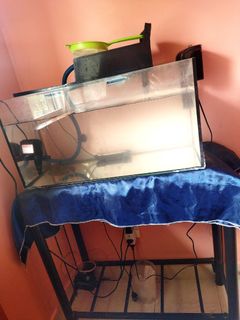 (Category: ) located in . Submitted by discusfishes (Listing ID 1124548739, Image 1). Description: .