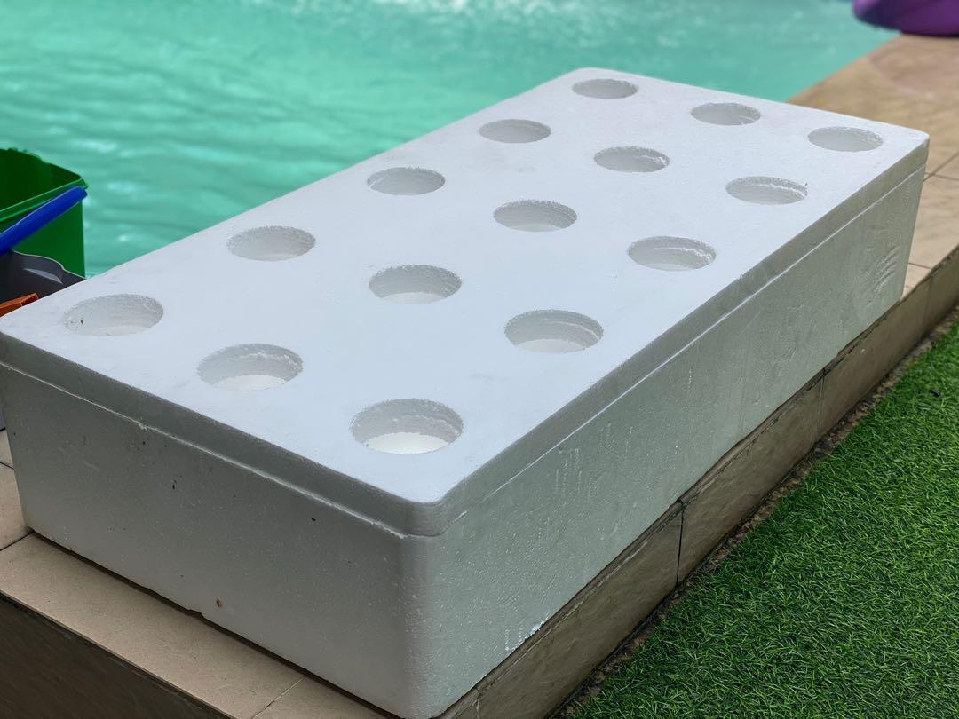 Hydroponics starter kit 1 styro box (15holes) + FREE cups (15pcs