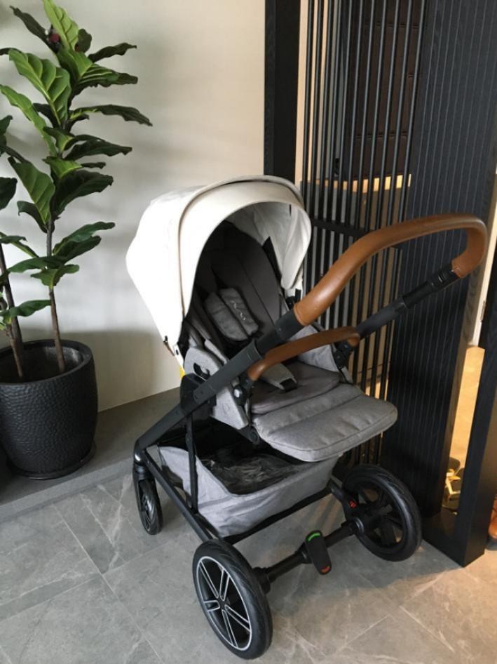 Nuna birch store stroller