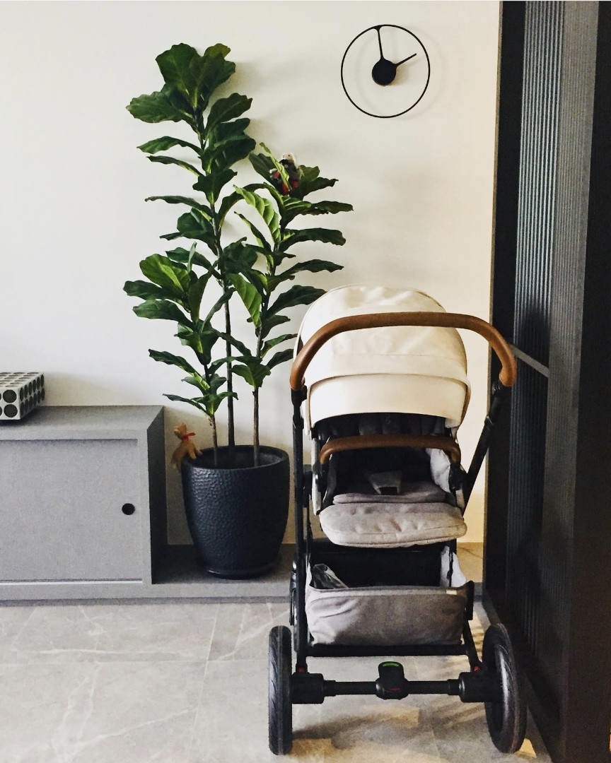 Nuna birch stroller shop