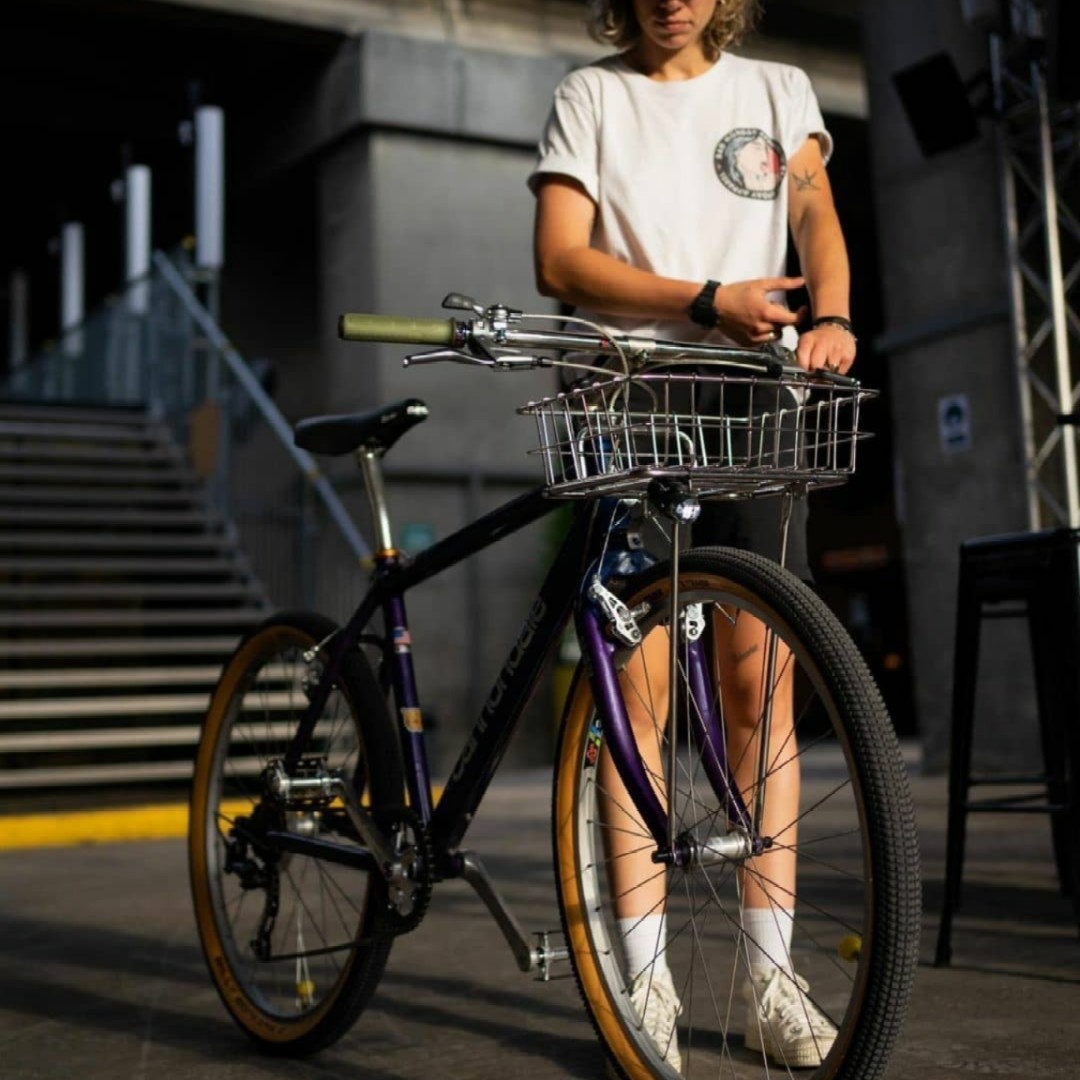 Ruck Rack Basket / like wald 137 steel / retro mtb commuter gravel ...