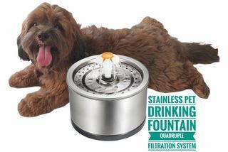 Stainless Pet Drinking Fountain