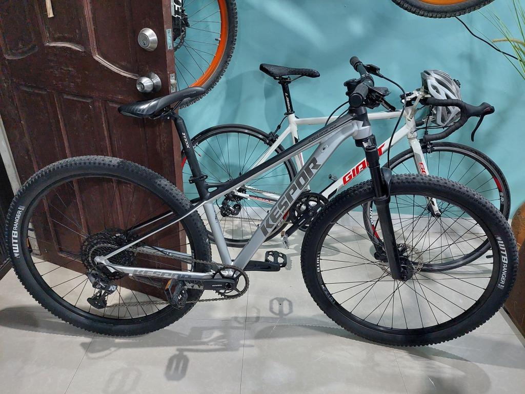 2021 29er Kespor Cyclone 1x12 Silver Sale or Swap