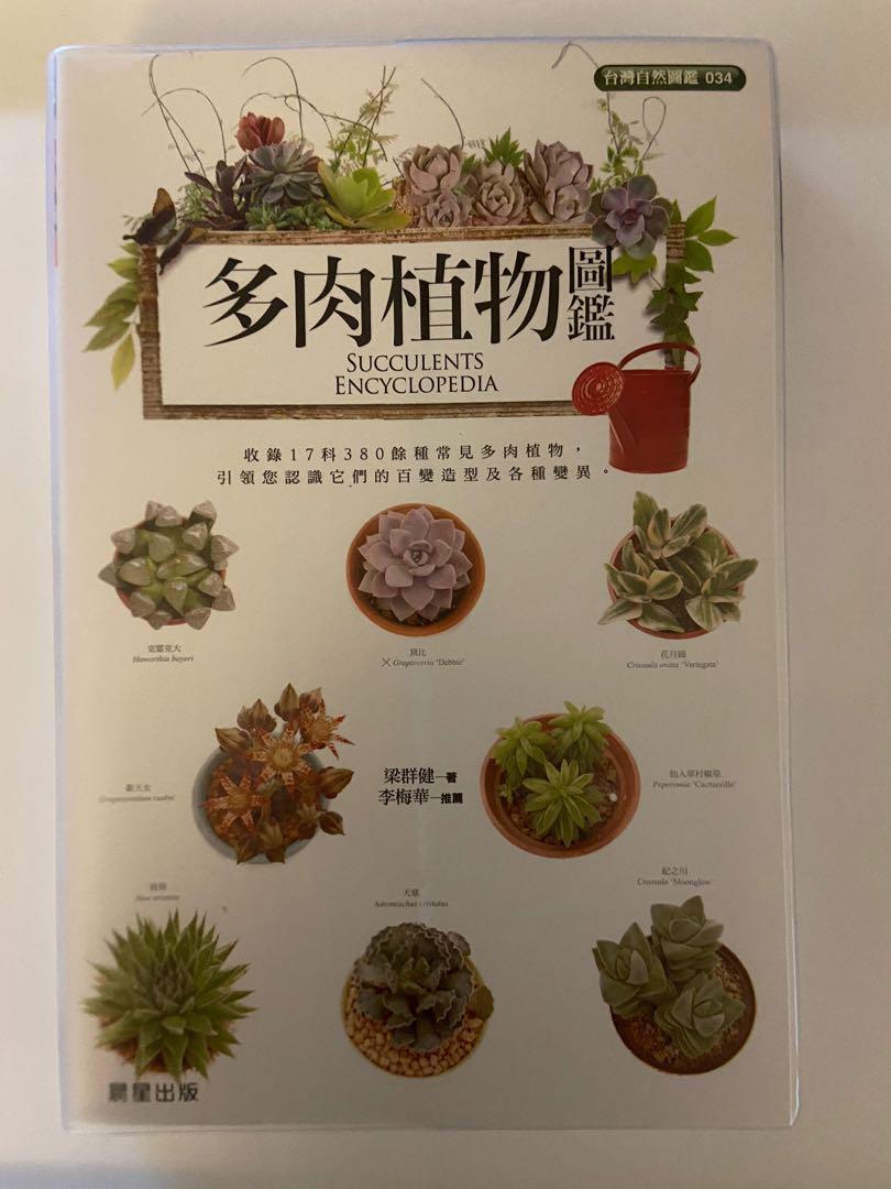 多肉植物圖鑑 興趣及遊戲 書本 文具 書本及雜誌 補充練習 Carousell