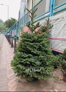 （分類：）位於 。 由 mikeegarden 提交（商品編號 1128949743，圖片 1）。簡介： 。