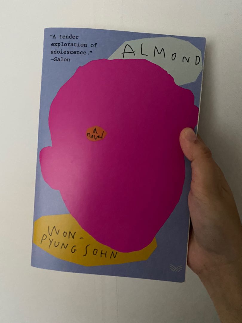 Almond by Wonpyung Sohn english version korean book fiction, Hobbies