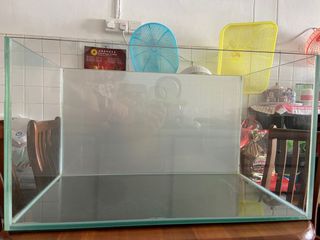 (Category: ) located in . Submitted by plantedtank09 (Listing ID 1128909425, Image 1). Description: .