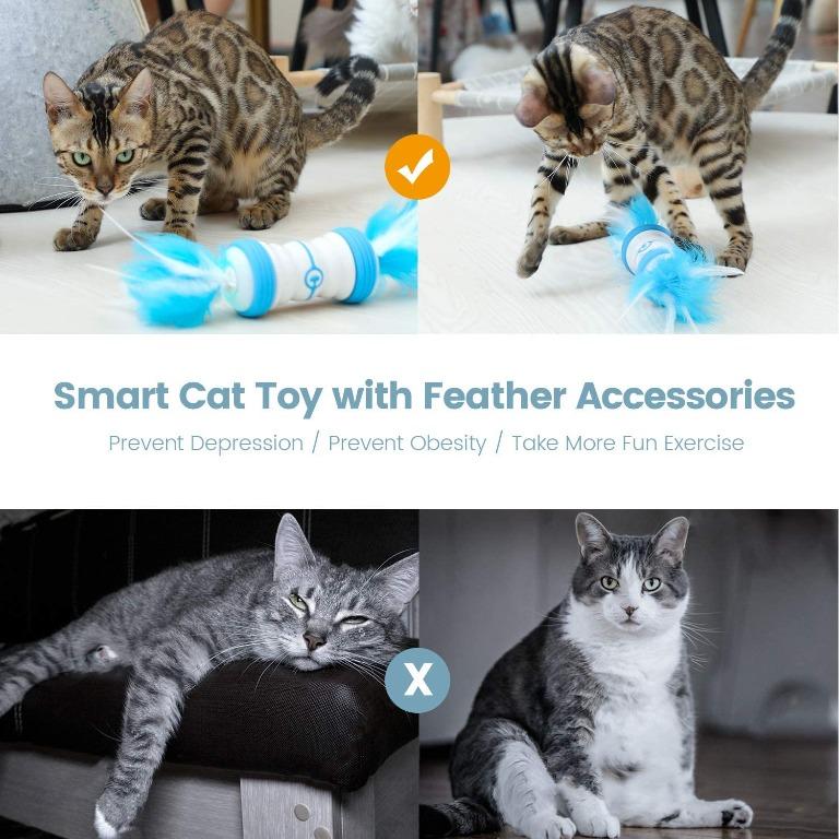IOKHEIRA Interactive Cat Toy, Cat Toys for Indoor Cats Interactive