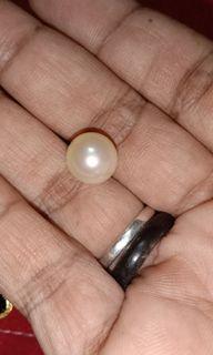 Original mutiara from sabah...
