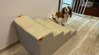 （分類：）位於 。 由 cocopopsz 提交（商品編號 1128895477，圖片 1）。簡介： 。