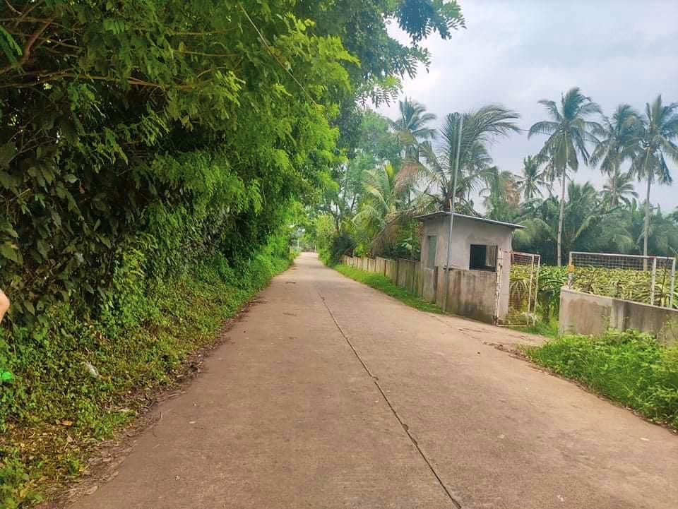 Residential Farm lot (Tambo Kulit, Indang, Cavite, Property, For Sale