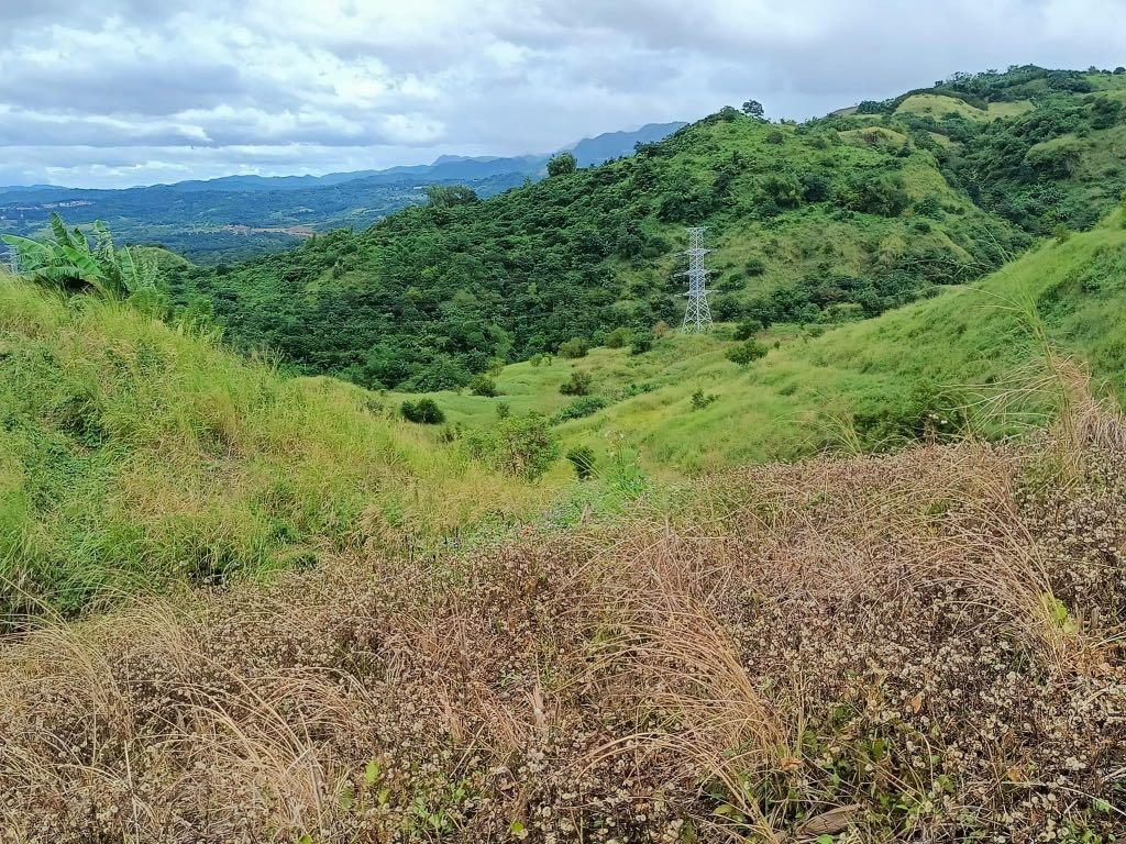 Residential/Farm Lot for Sale, Halayhayin Tanay Rizal, Property, For
