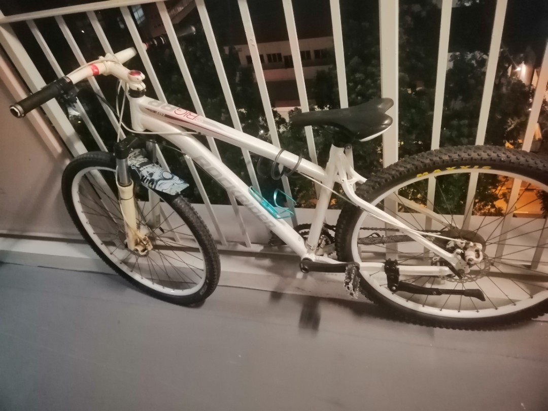 Rockrider Big RR 29\
