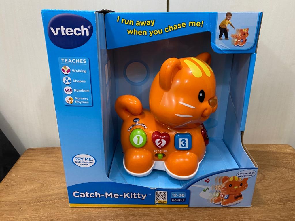Chase me kitty online