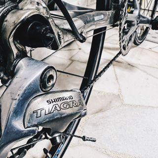Wheeler 5100 Road Bike