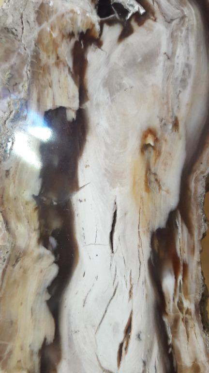 177 kg in sales stone
