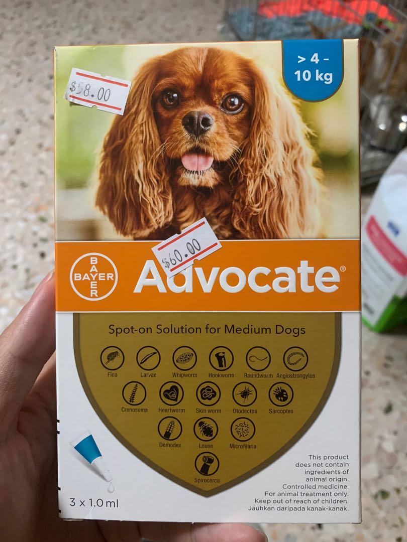 Advocate spot on solution for medium dog Pet Supplies Health