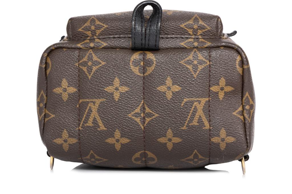 Louis-Vuitton-Monogram-Palm-Springs-PM-Old-Style-Back-Pack-M41560 –  dct-ep_vintage luxury Store