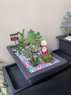 (Category: ) located in . Submitted by edzkookie (Listing ID 1130779348, Image 1). Description: .
