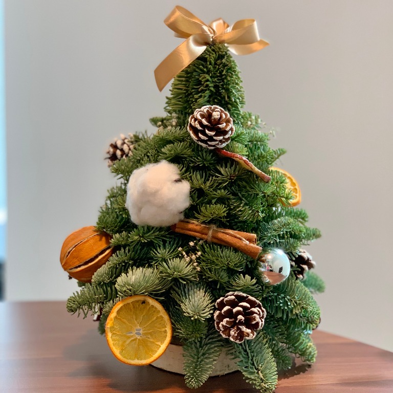 荷蘭貴族松聖誕樹30cm Noble Fir Christmas Tree, 傢俬＆家居, 家居