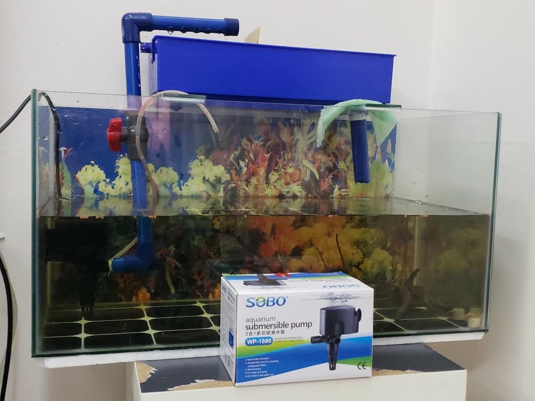 770 Dekorasi Aquarium Filter Samping HD Terbaru