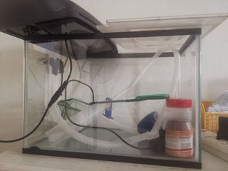 (Category: ) located in . Submitted by ssundar79 (Listing ID 1130835813, Image 1). Description: .