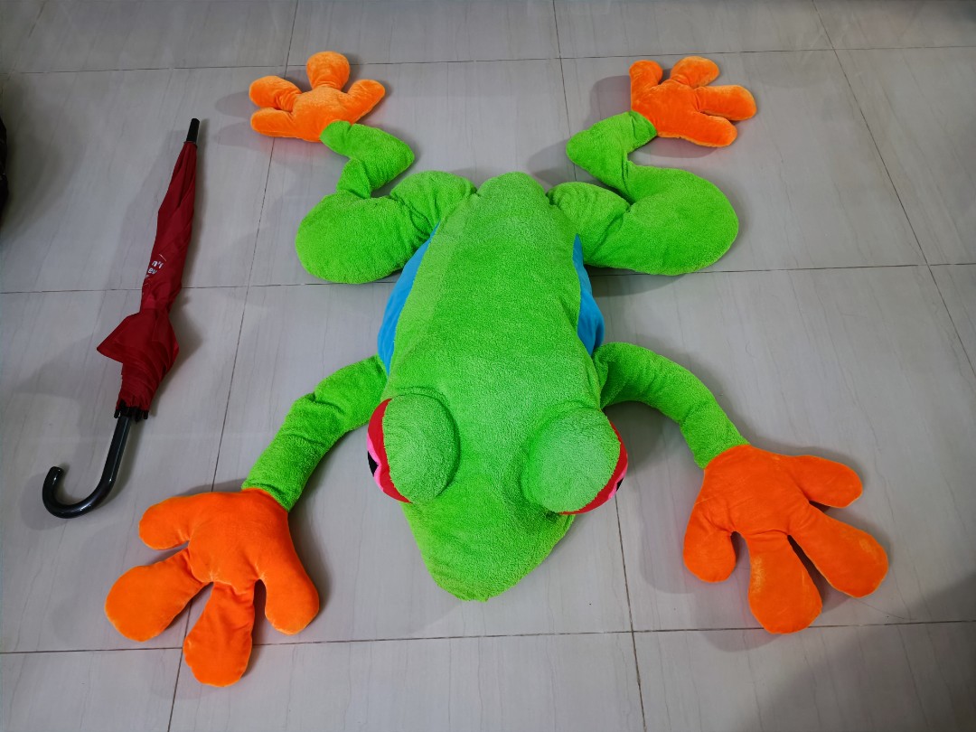Frog soft toy, Hobbies & Toys, Toys & Games on Carousell