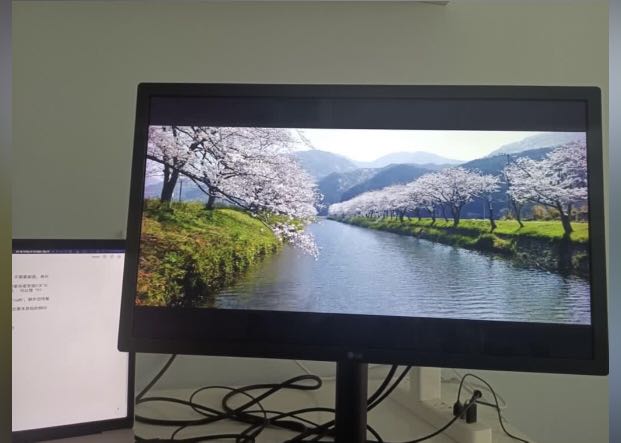 LG 22'' UltraFine 4K IPS LED Monitor 