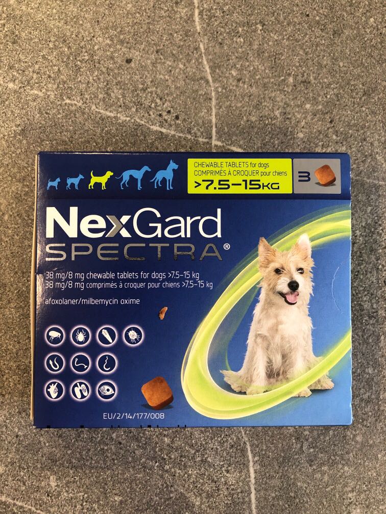 Nexgard Spectra Chewable Tablets for Dogs (>7.5-15Kg), Pet Supplies, Health  & Grooming on Carousell
