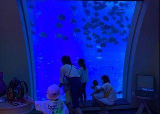 Ocean Suites Sentosa Tickets Vouchers Local Attractions Transport On Carousell