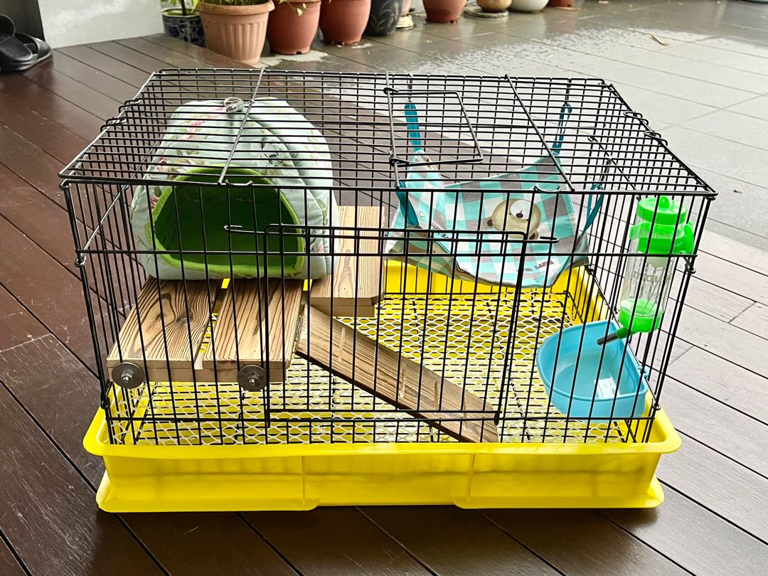 rabbit cage