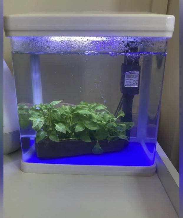 sobo planted aquarium light