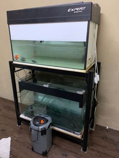 (Category: ) located in . Submitted by epol86 (Listing ID 1131152807, Image 1). Description: .