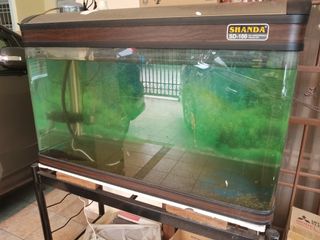 (Category: ) located in . Submitted by chinktan (Listing ID 1131138730, Image 1). Description: .
