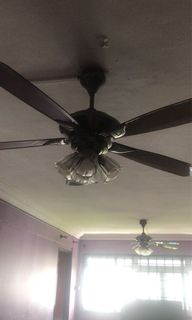 (Category: ) located in . Submitted by ayaqy (Listing ID 1131099981, Image 1). Description: .