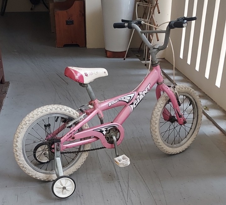 giant childs bike